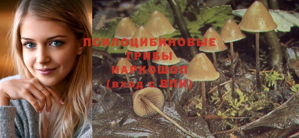 спайс Армянск