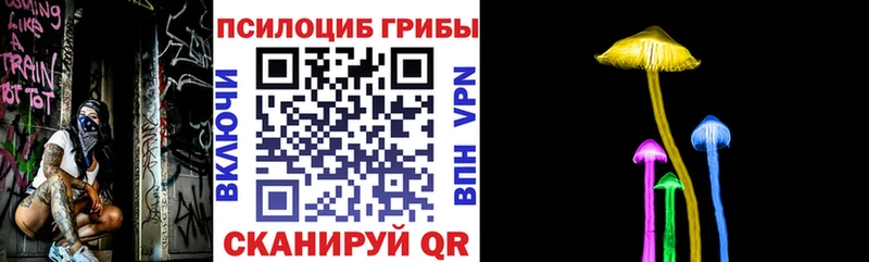Псилоцибиновые грибы Psilocybe  Мелеуз 